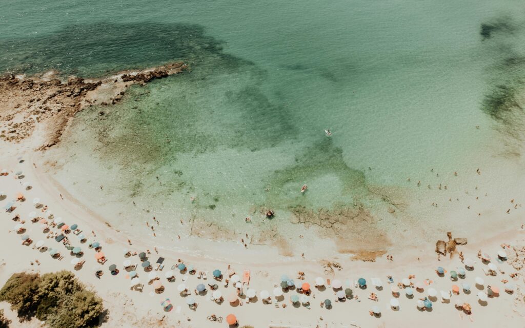 dms puglia